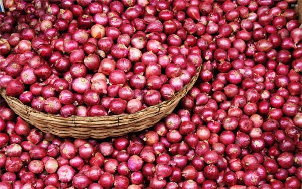 Congress leaders hold dharna over onion prices