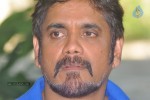 Nagarjuna New Gallery - 51 of 75