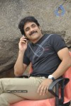 nagarjuna-solo-stills