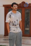 Prabhas New Gallery - 27 of 73