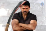 Venkatesh Completes Silver Jubilee Photos - 33 of 139