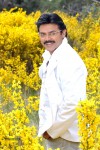 Venkatesh Completes Silver Jubilee Photos - 52 of 139