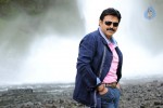 Venkatesh Completes Silver Jubilee Photos - 45 of 139