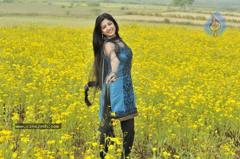 Actress Stills in Nagavalli Movie - 46 / 53 photos