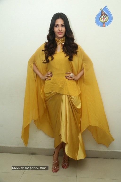 Amyra Dastur Latest Stills - 4 / 17 photos