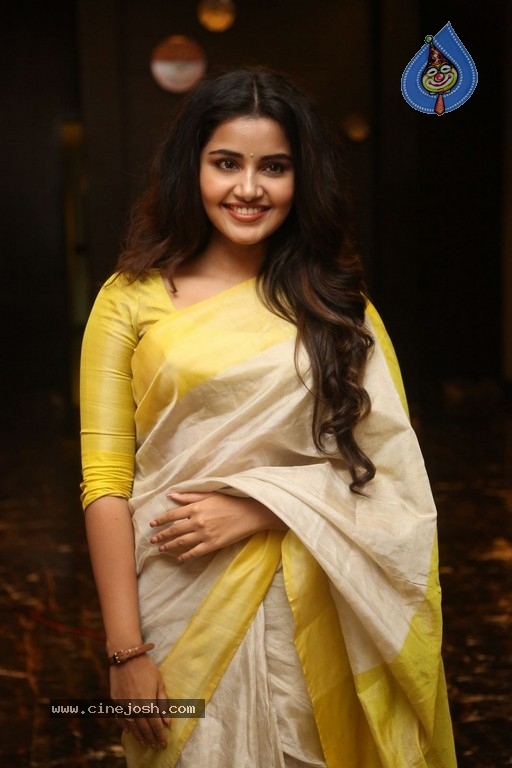 Anupama Parameswaran Gallery - 3 / 19 photos