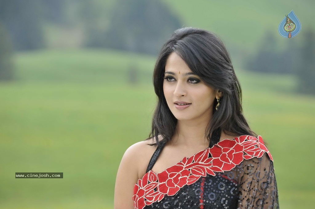 Anushka Stills in Dhamarukam - 21 / 36 photos