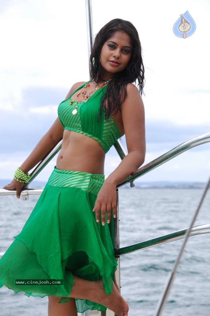 Bindu Madhavi Hot Pics - 18 / 69 photos