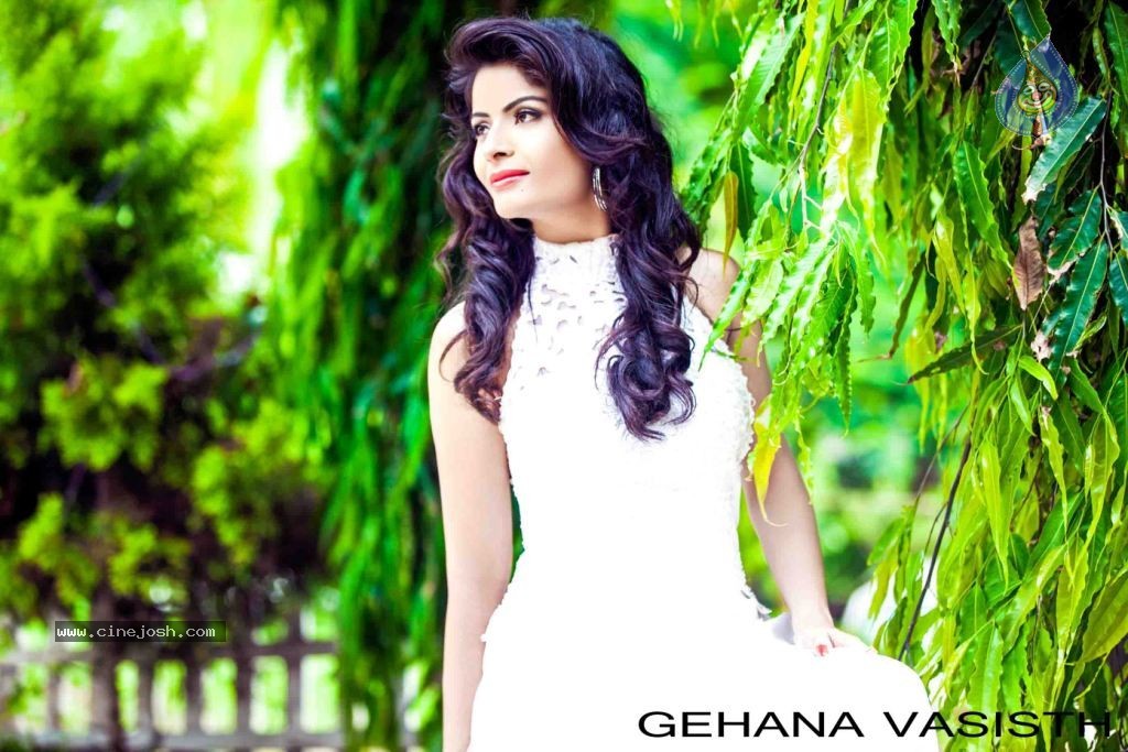 Gehana Vasista Stills - 3 / 52 photos