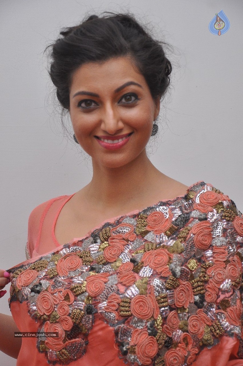 Hamsa Nandini Hot Stills - 15 / 33 photos