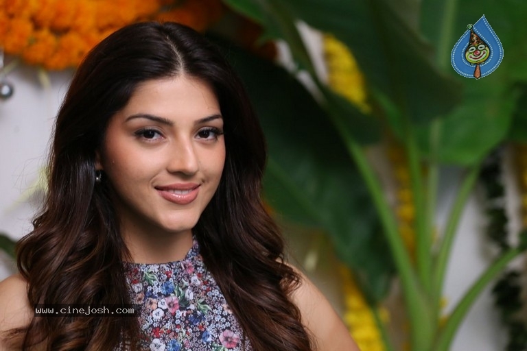 Mehrene Kaur Pirzada Interview Photos - 10 / 29 photos