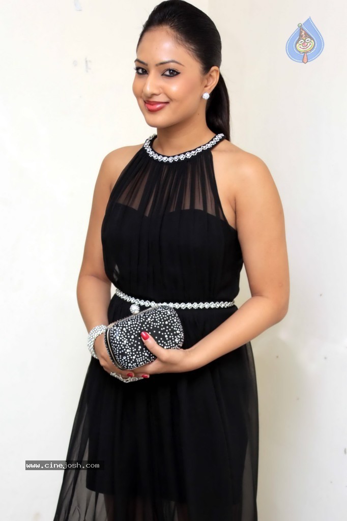 Nikesha Patel New Photos - 13 / 32 photos