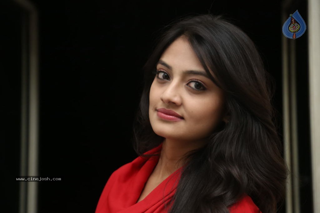 Nikitha Narayan New Images  - 12 / 102 photos