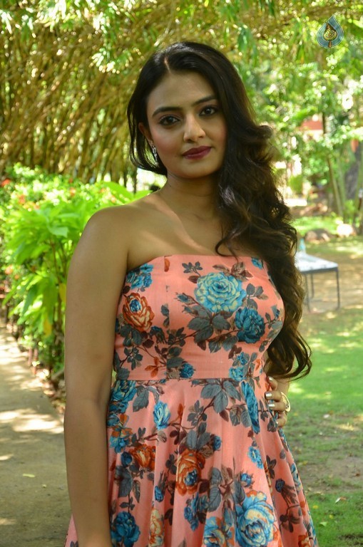 Nikitha Narayana New Images - 17 / 29 photos