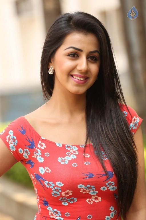 Nikki Galrani Photos - 3 / 28 photos