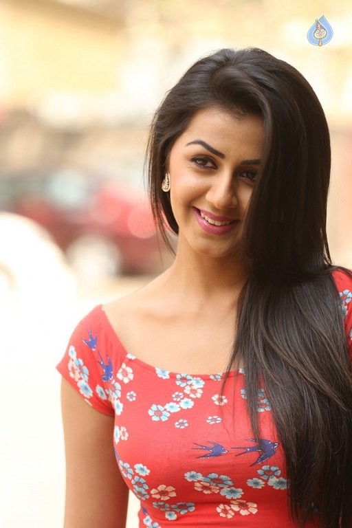 Nikki Galrani Photos - 4 / 28 photos