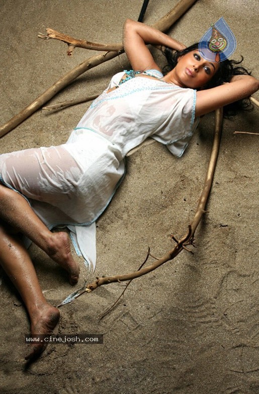 Padma Priya Stills (CineJosh Exclusive) - 16 / 38 photos
