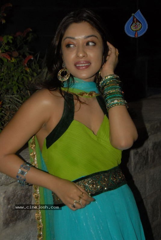 Payal Gosh New Gallery - 16 / 42 photos