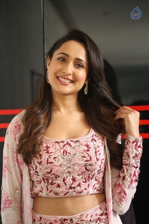 Pragya Jaiswal New Photos - 4 / 15 photos