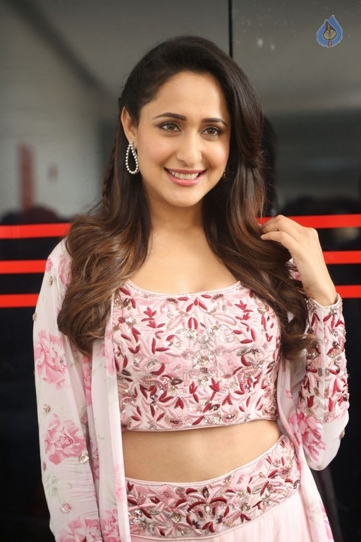 Pragya Jaiswal New Photos - 9 / 15 photos