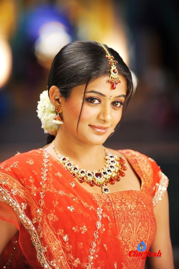 Priyamani Spicy Photo Gallery - 3 / 20 photos