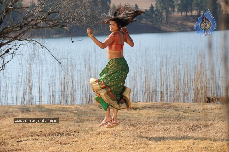 Priyamani Hot Stills In Pravarakyudu Movie  - 8 / 148 photos