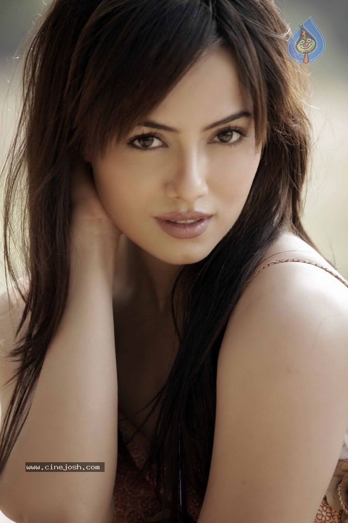 Sana Khan Hot Stills - 1 / 36 photos