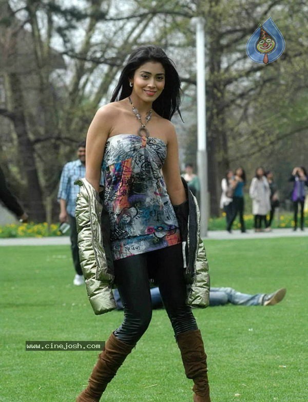 Shriya New Photo Gallery - 18 / 36 photos