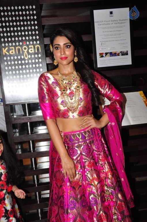 Shriya Saran New Pics - 6 / 42 photos