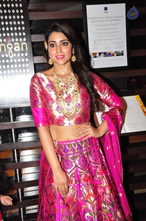 Shriya Saran New Pics - 8 / 42 photos