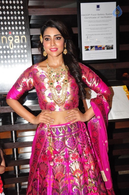 Shriya Saran New Pics - 12 / 42 photos