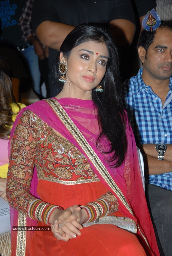 Shriya Saran New Stills - 2 / 42 photos