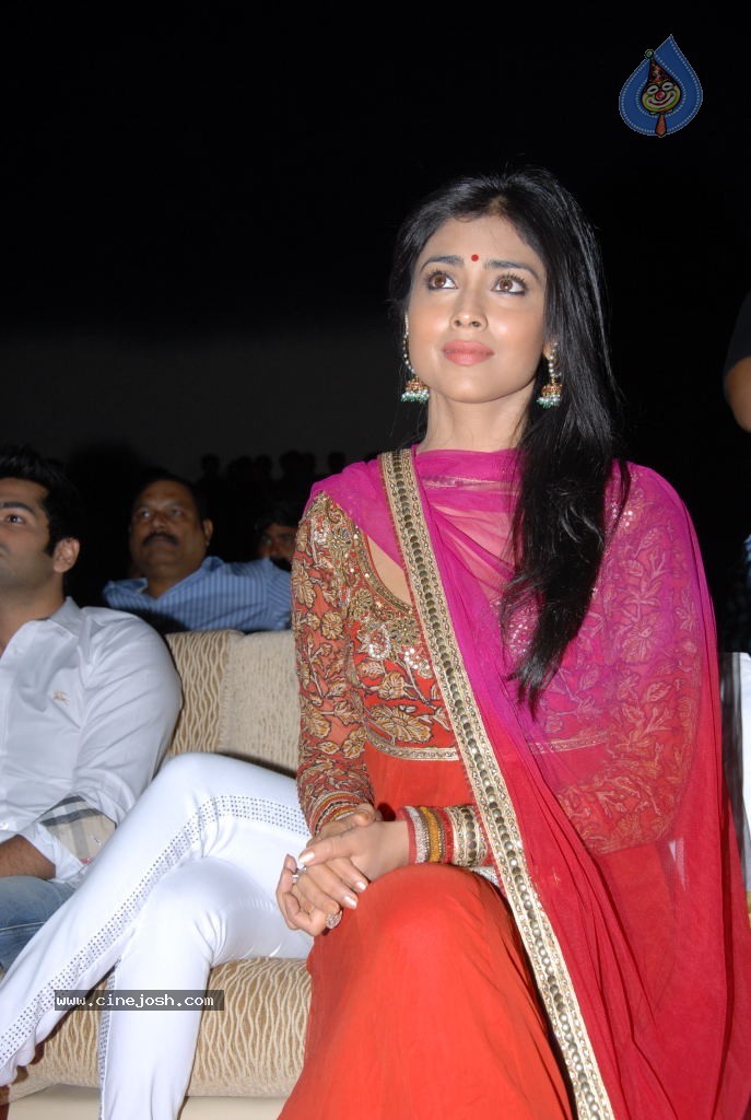 Shriya Saran New Stills - 15 / 42 photos