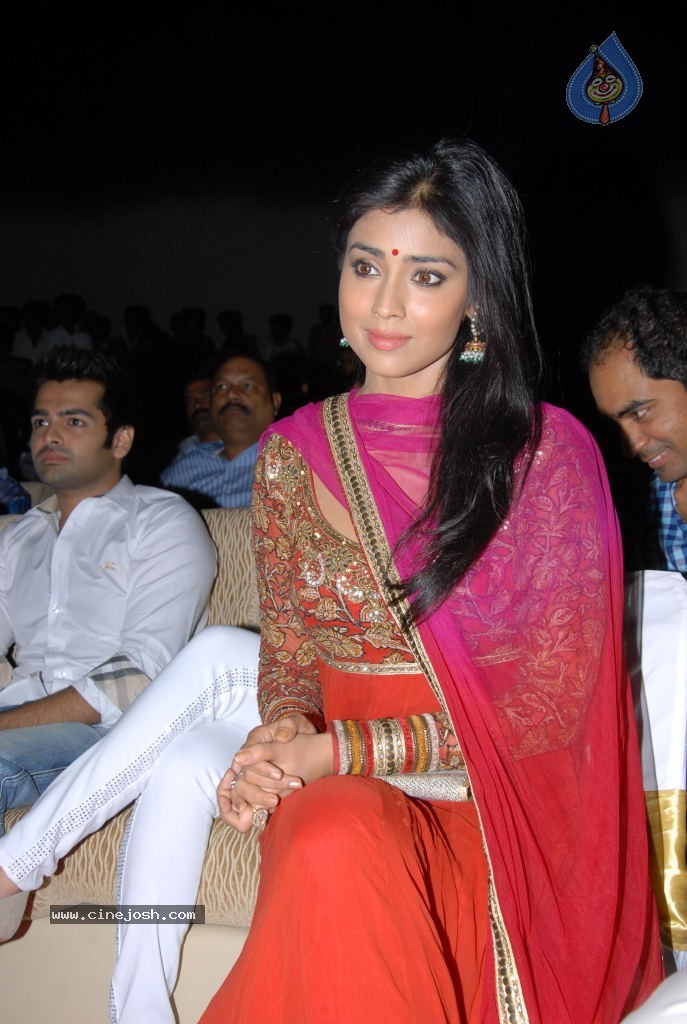 Shriya Saran New Stills - 18 / 42 photos