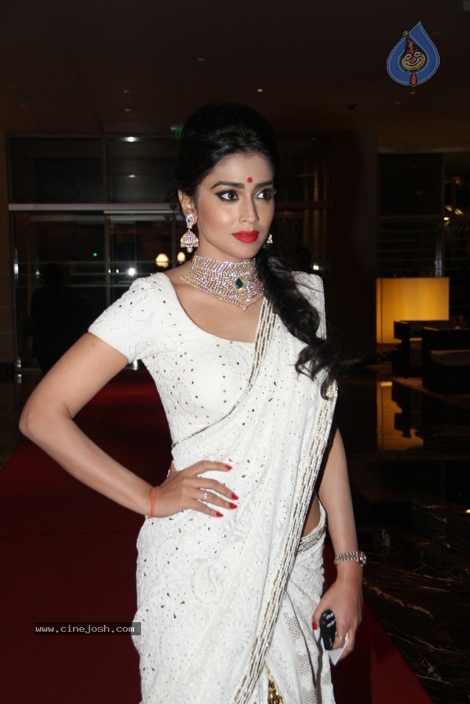 Shriya Saran Spicy Stills - 9 / 111 photos