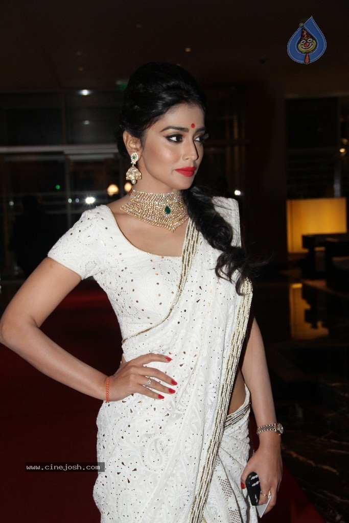 Shriya Saran Spicy Stills - 15 / 111 photos