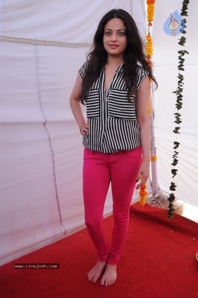 Sneha Ullal New Photos - 8 / 71 photos