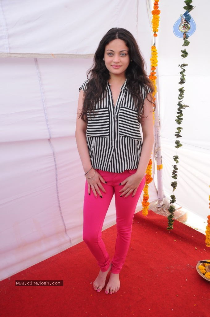 Sneha Ullal New Photos - 10 / 71 photos