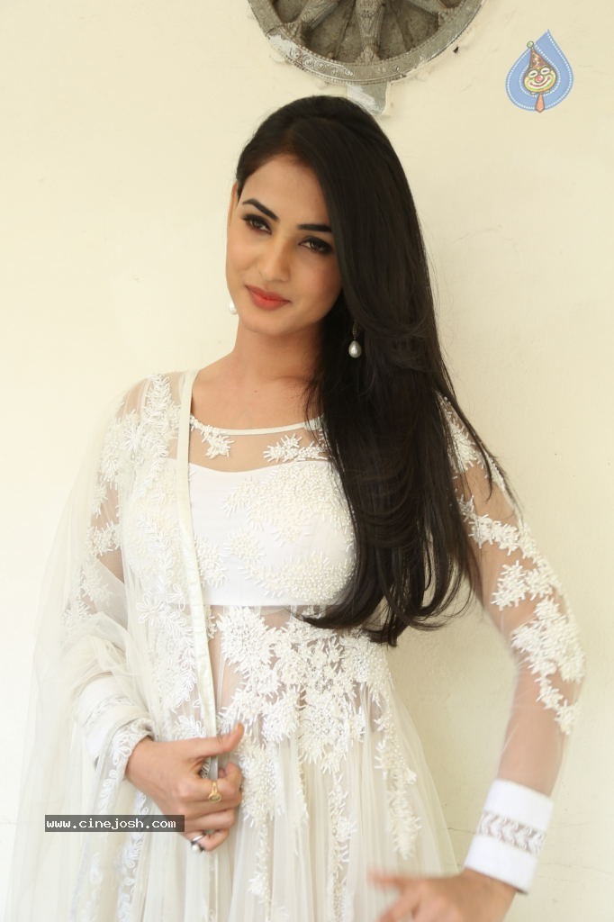 Sonal Chauhan Hot Photos - 7 / 100 photos