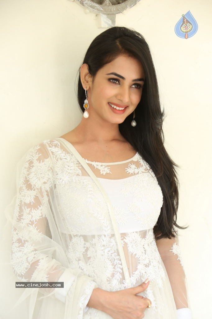 Sonal Chauhan Hot Photos - 11 / 100 photos