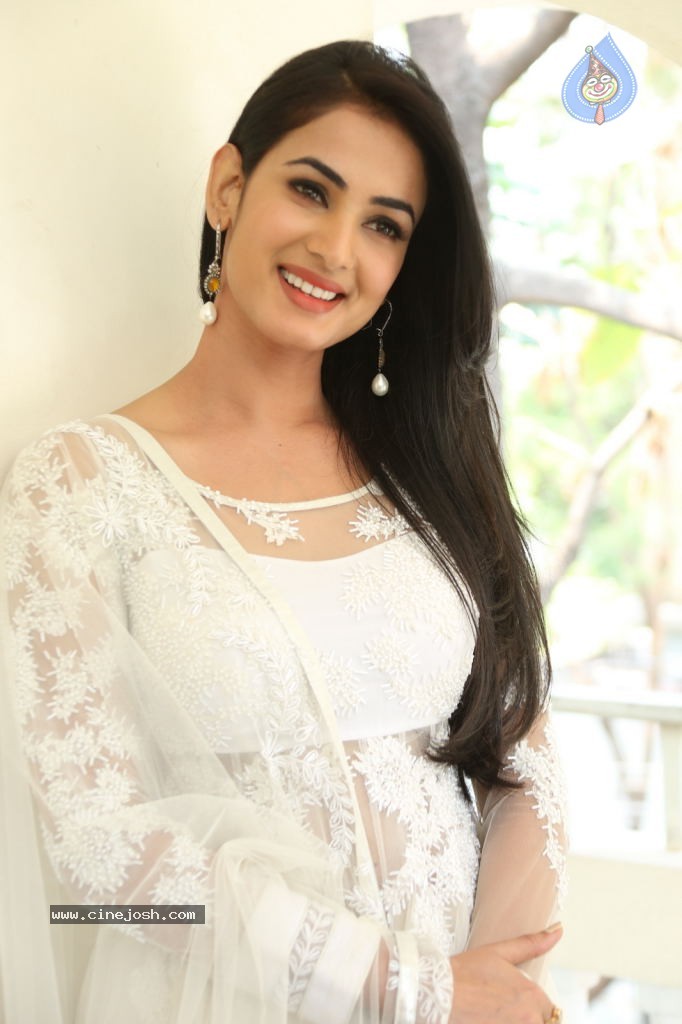 Sonal Chauhan Hot Photos - 16 / 100 photos