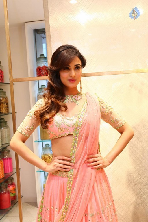 Sonal Chauhan New Gallery - 16 / 39 photos