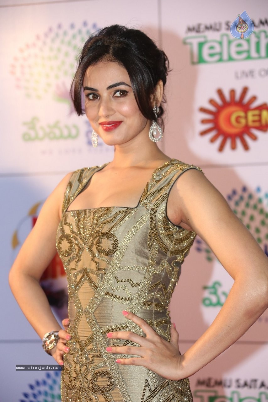 Sonal Chauhan New Stills - 8 / 70 photos