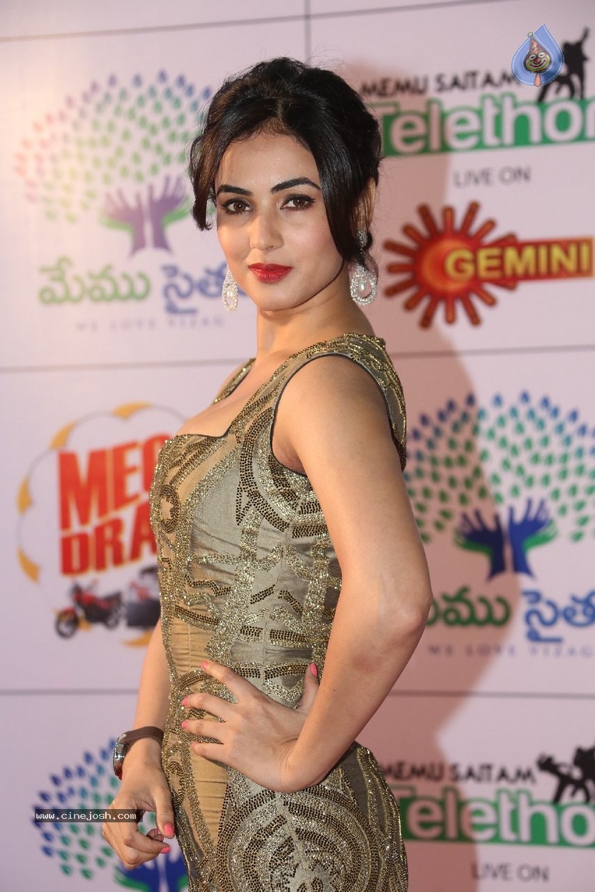 Sonal Chauhan New Stills - 14 / 70 photos