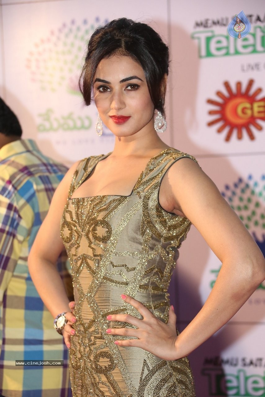 Sonal Chauhan New Stills - 20 / 70 photos