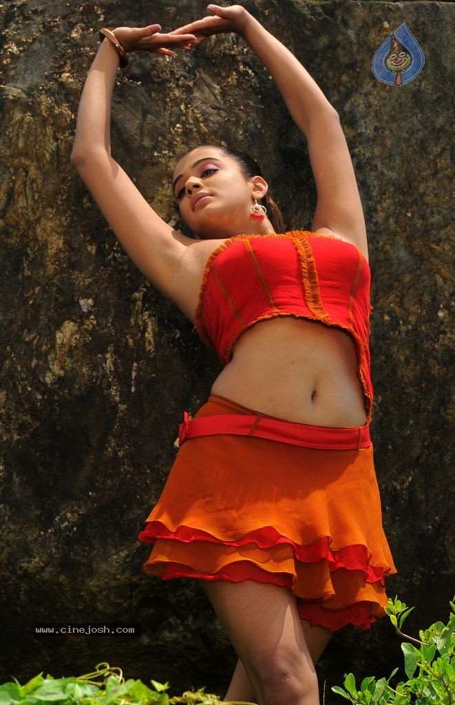 Priyamani Spicy Stills - 50 / 68 photos