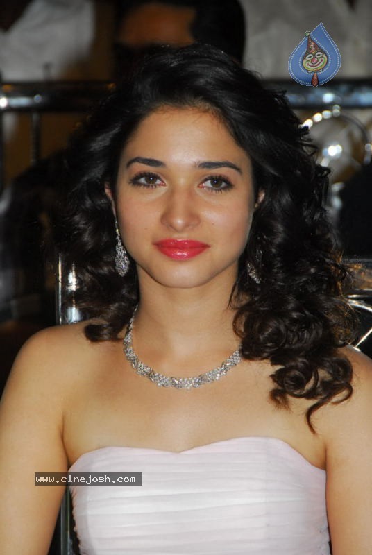 Tamanna at 100% Love Movie Audio Launch - 21 / 55 photos