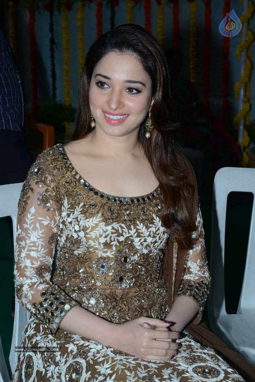 Tamanna at Bengal Tiger Movie Opening - 2 / 90 photos