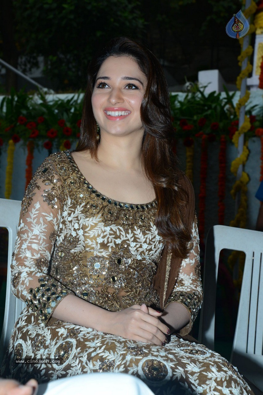 Tamanna at Bengal Tiger Movie Opening - 4 / 90 photos