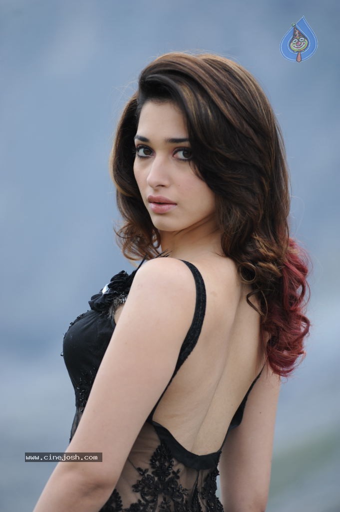 Tamanna Hot Photos - 62 / 151 photos